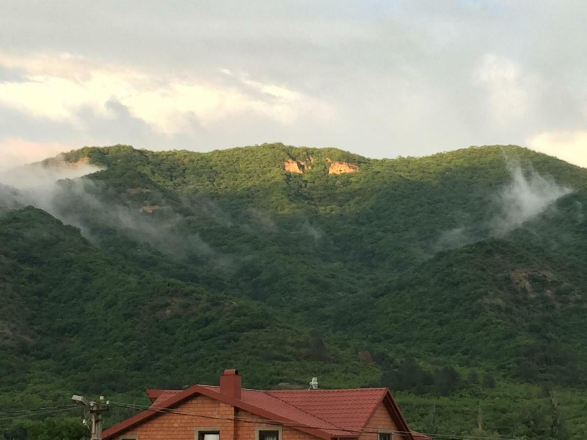 הוילה Tsitelsopeli Aragvi Valley מראה חיצוני תמונה